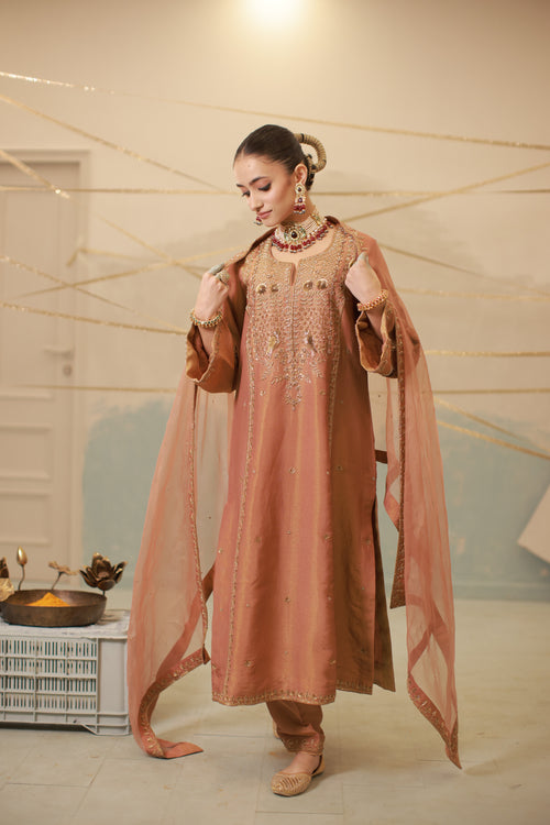 Cinnamon Brown Hand Embroidered Suit Set