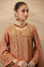 Cinnamon Brown Hand Embroidered Suit Set